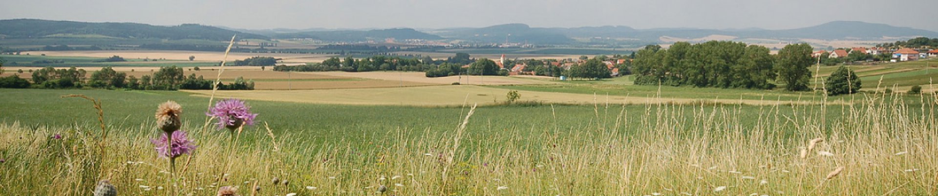 Měnič obrázků - fotografie